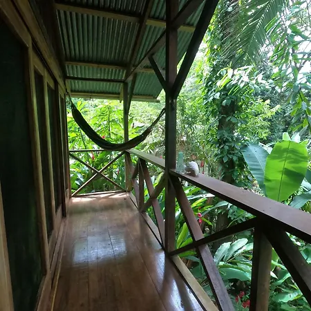 Pure Roots Villa Bastimentos Exterior photo