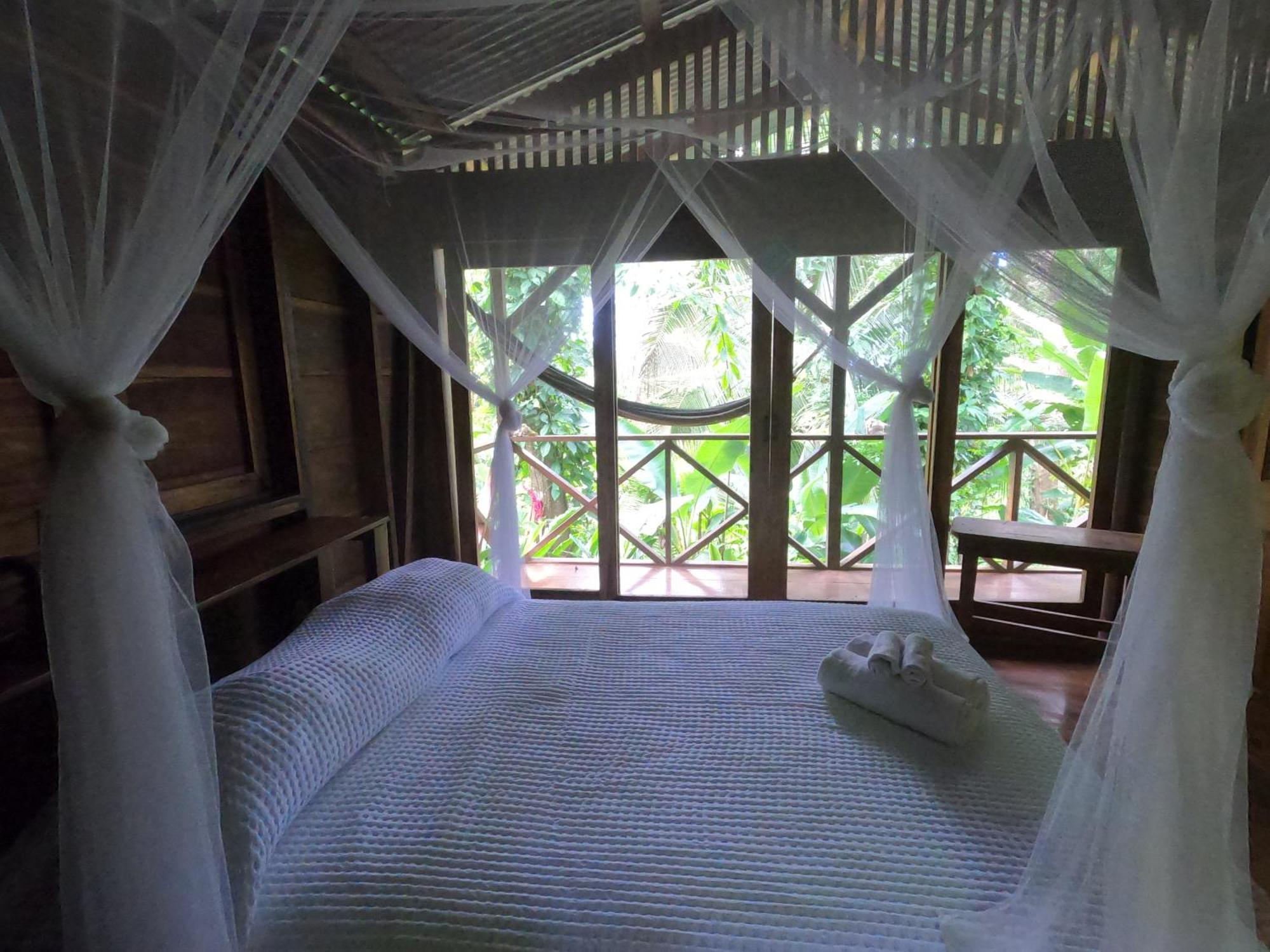 Lodge Pure Roots