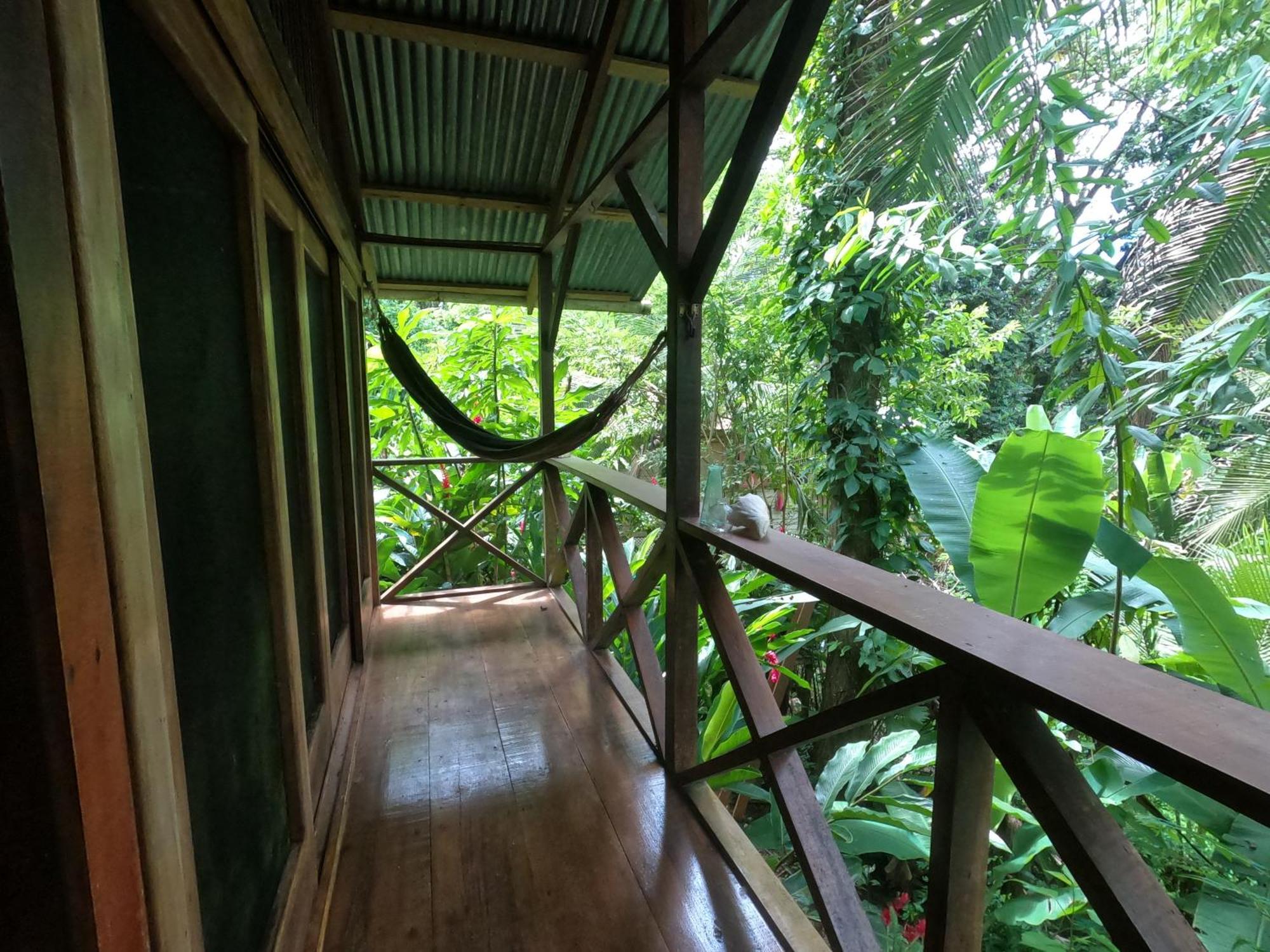 Pure Roots Lodge