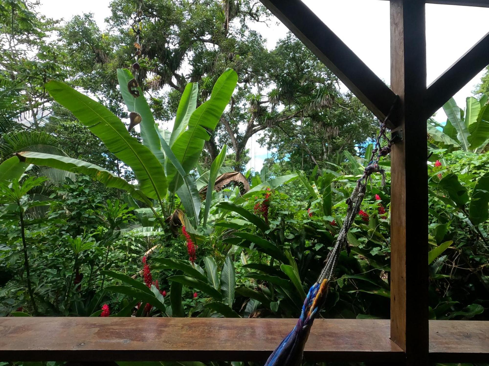 Lodge Pure Roots Bastimentos