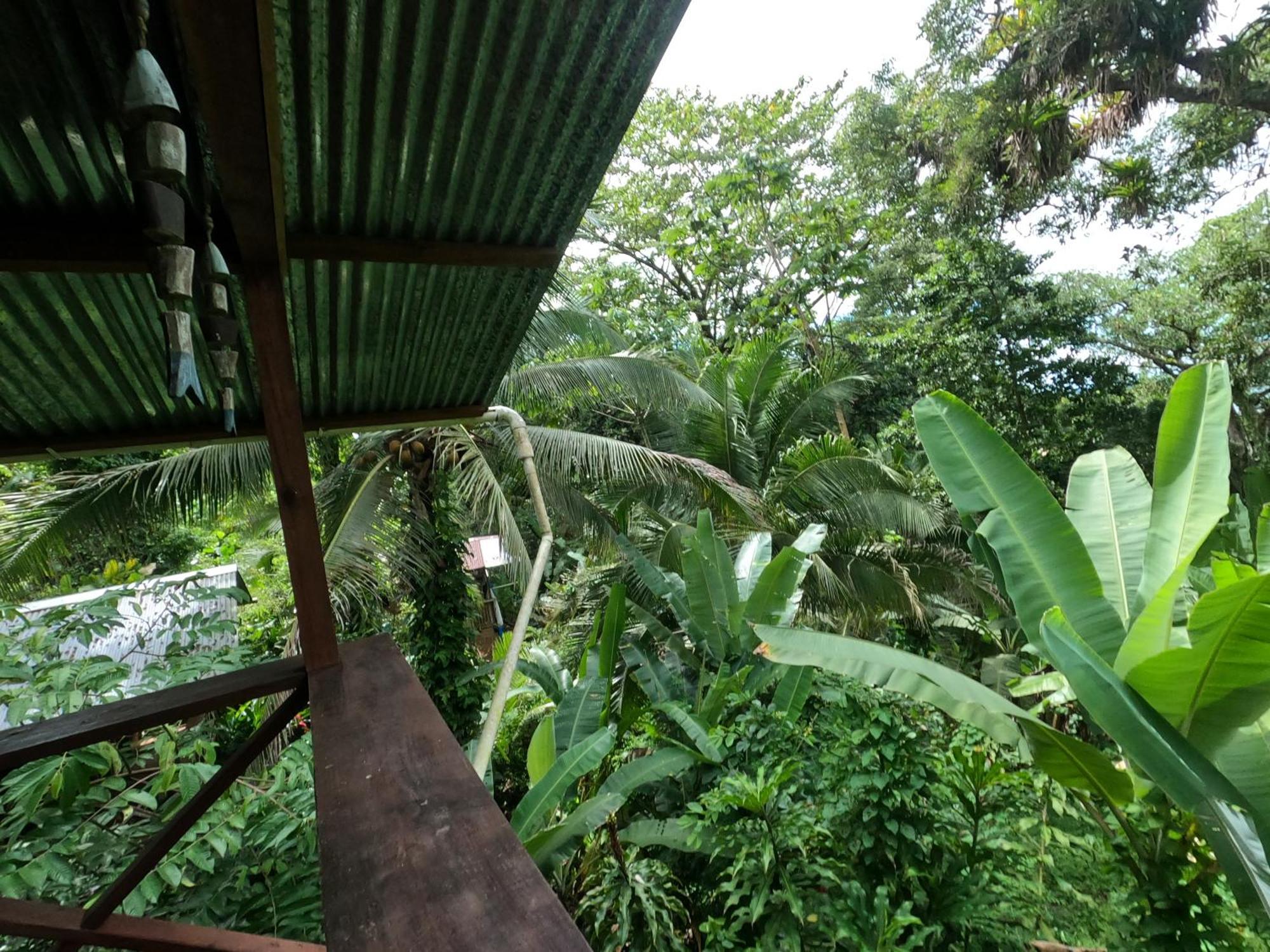 Pure Roots Lodge *