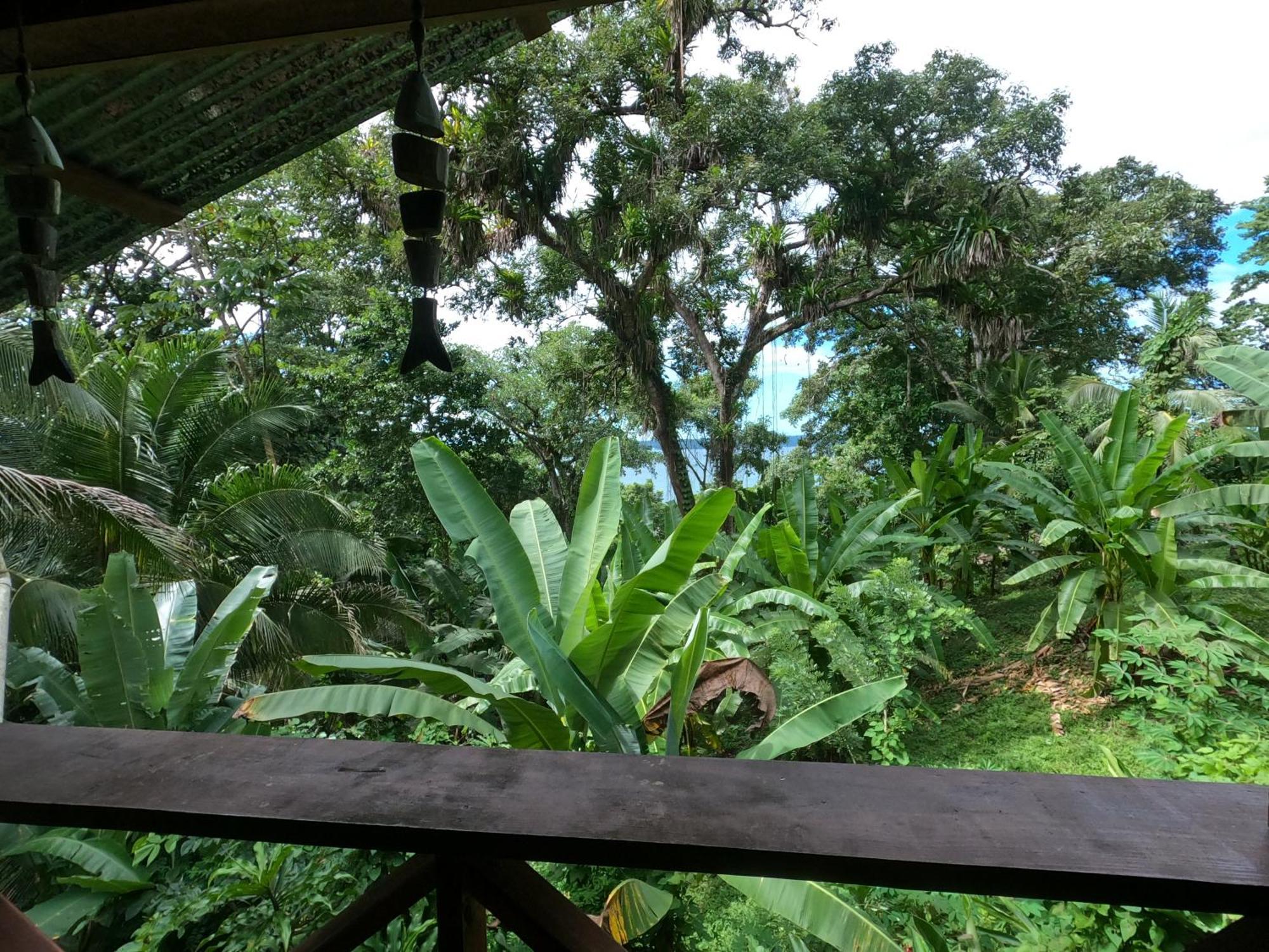 Pure Roots Lodge *