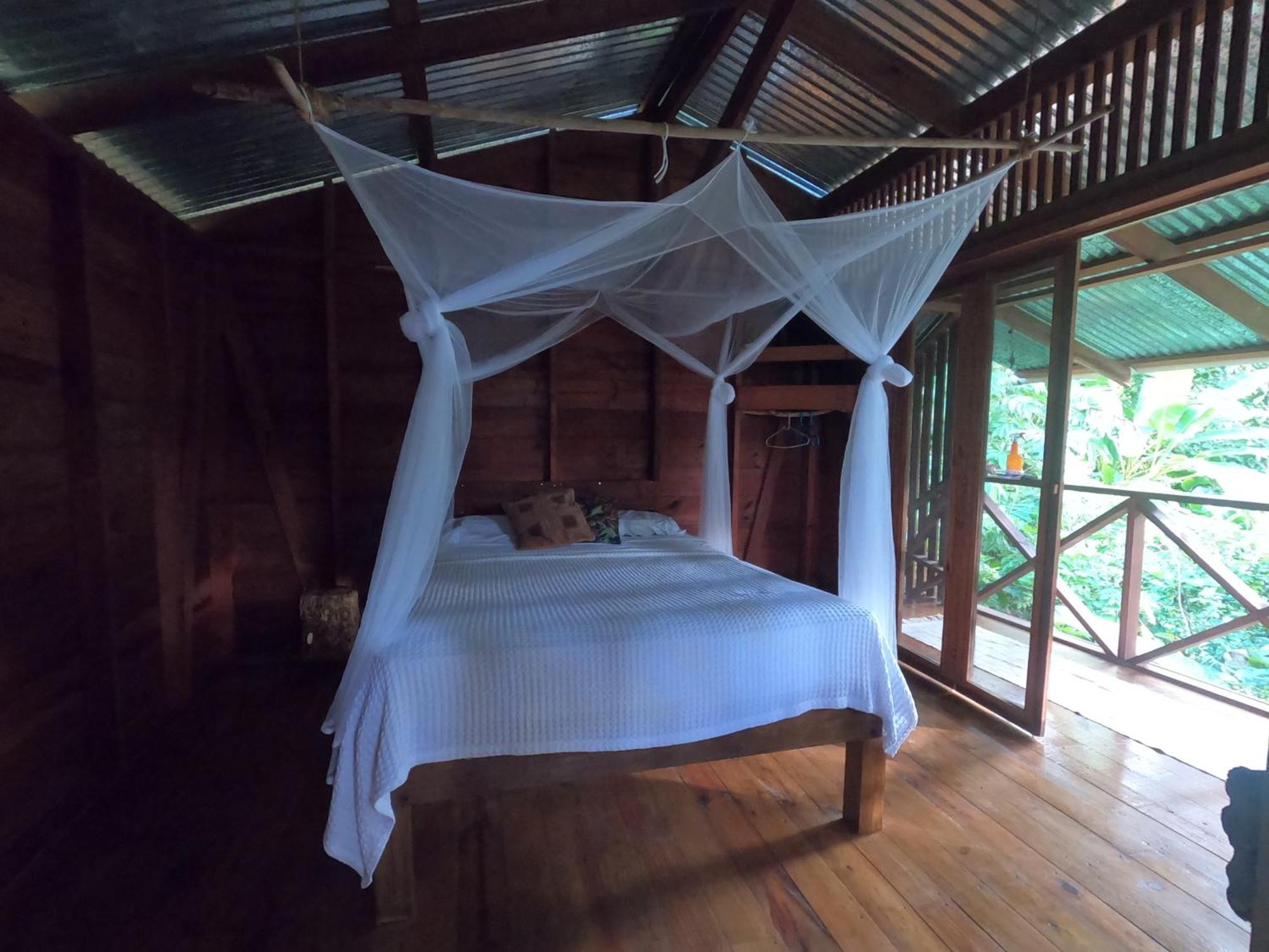 Pure Roots Lodge