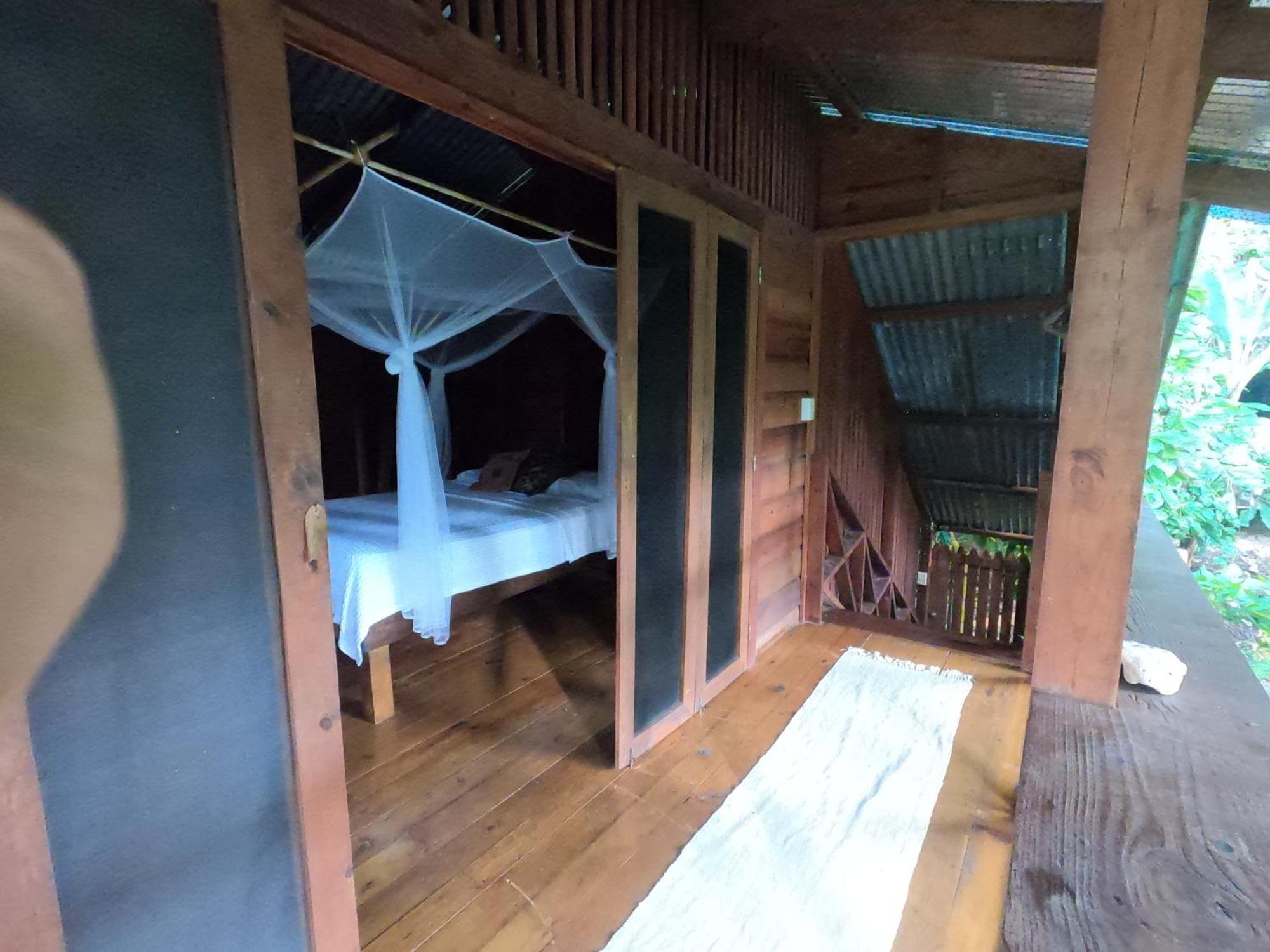 Pure Roots Lodge *