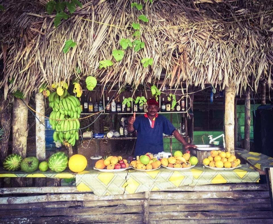 Pure Roots Lodge Bastimentos