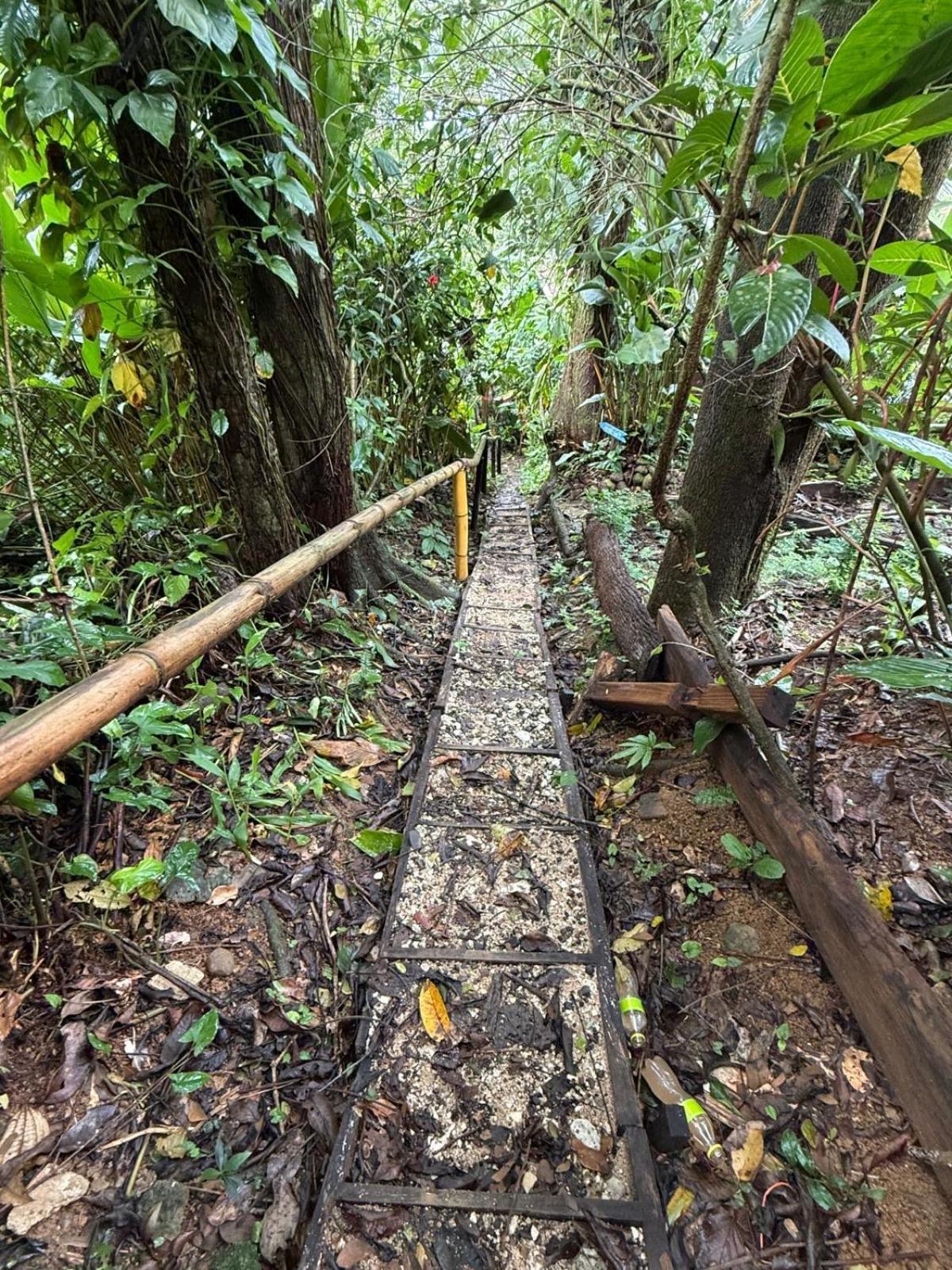 Pure Roots Lodge Bastimentos